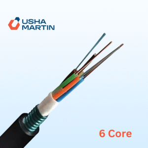 6F FO Cable - Armoured (Copy)